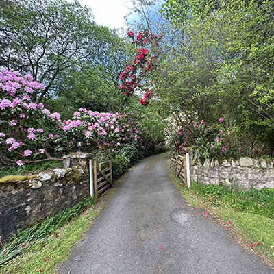 Hazlieburn Holiday Rental Entrance